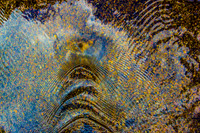 Irridescent Ripples #2