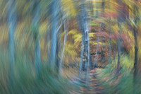 Autumn Wind