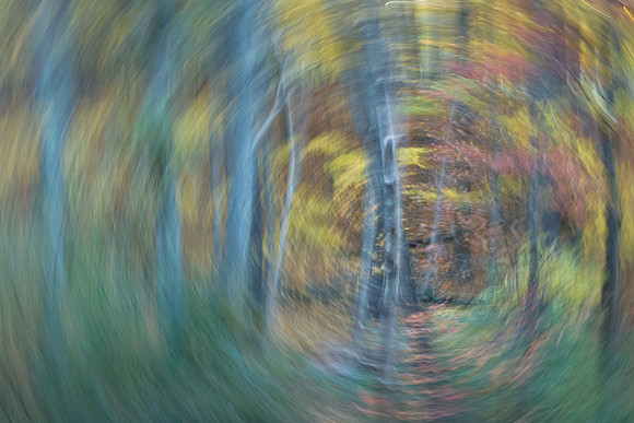 Autumn Wind