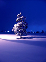 Winter's Peace