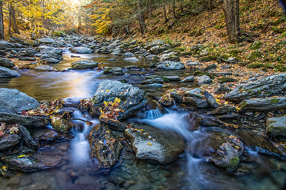 Roaring Brook Autumn