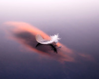 Serenity