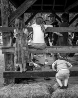Youngest Fans