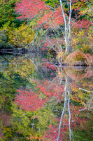 Autumn Reflection