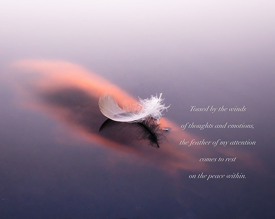 The Feather of My Attention