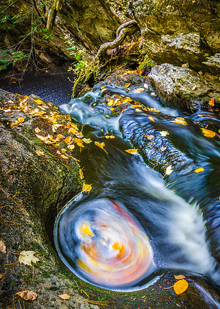 Autumn Dance