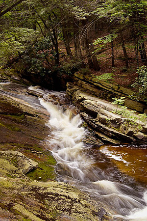Peterskill Steps