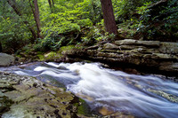 Peterskill River Rise