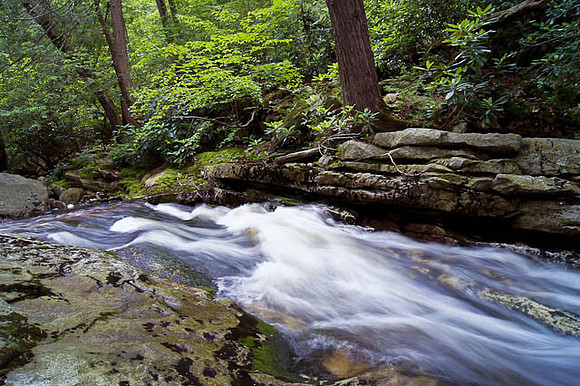 Peterskill River Rise
