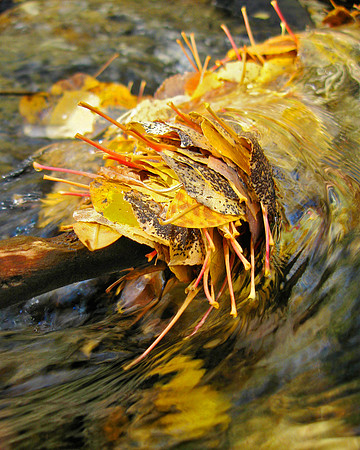 End of Autumn