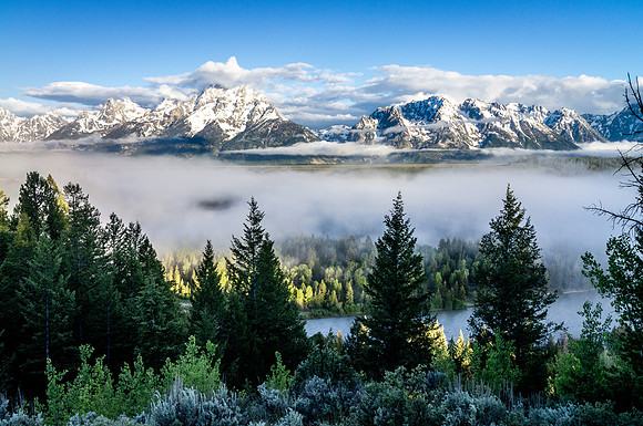 Grand Tetons Misty Sunrise