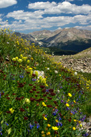 Alpine Hillside