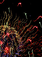 Fireworks 2