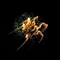 Abstracts
